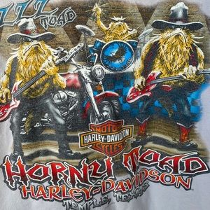 2011 “Harley Davidson” Destination Unknown ZZZ Toad Temple, Texas Tee